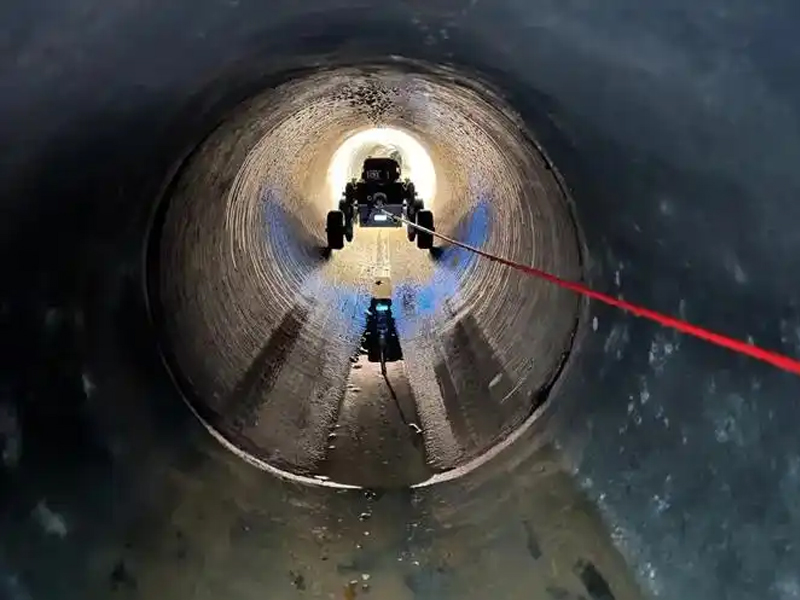 大树根管道检测