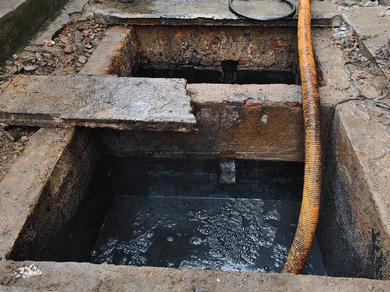 大树根清理化粪池