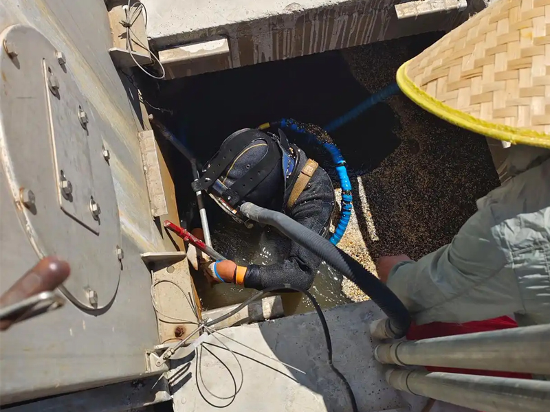 大树根有限空间