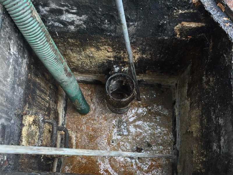 大树根隔油池清理